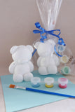 Teddy Bear Ceramic Painting Kit in Cello Bag