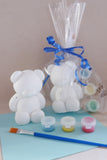 Teddy Bear Ceramic Painting Kit in Cello Bag